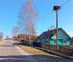 Видеосюжет «Мая малая радзіма – вёска Міжэвічы»