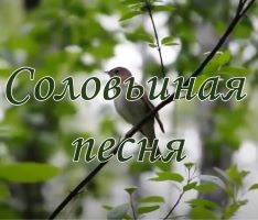 Литературно-музыкальная композиция с элементами театрализации «Соловьиная песня»